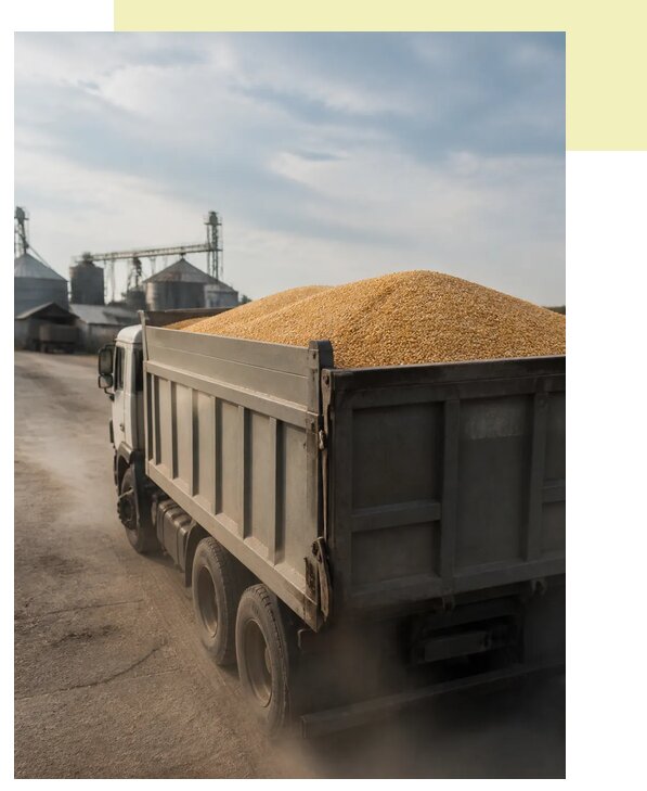 Перевозка сельхозпродукции навалом в Прохладного по цене от 3250 р. | Агросервис-Прх